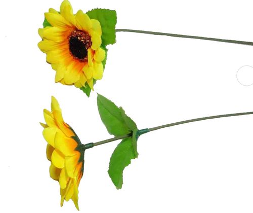 Sonnenblume, 35cm, VPE1800